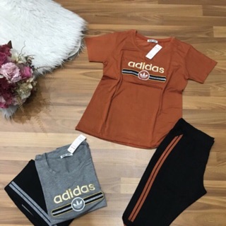 Combo khách mua sỉ nghi