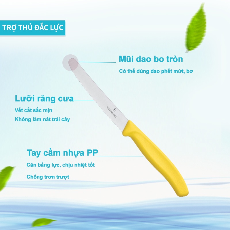 Dao gọt hoa quả Victorinox Swiss Made Thụy Sĩ, dao gọt trái cây sắc bén lưỡi răng cưa 11cm