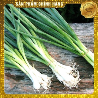 HẠT GIỐNG HÀNH LÁ CHUẨN FARM_1GR (CHẤT LƯỢNG CHUẨN F1)