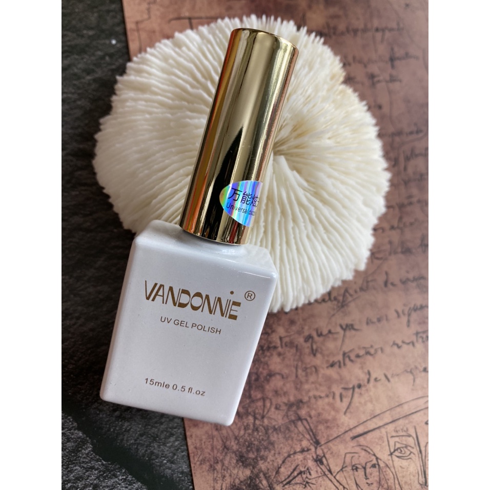Top mắt mèo cầu vồng