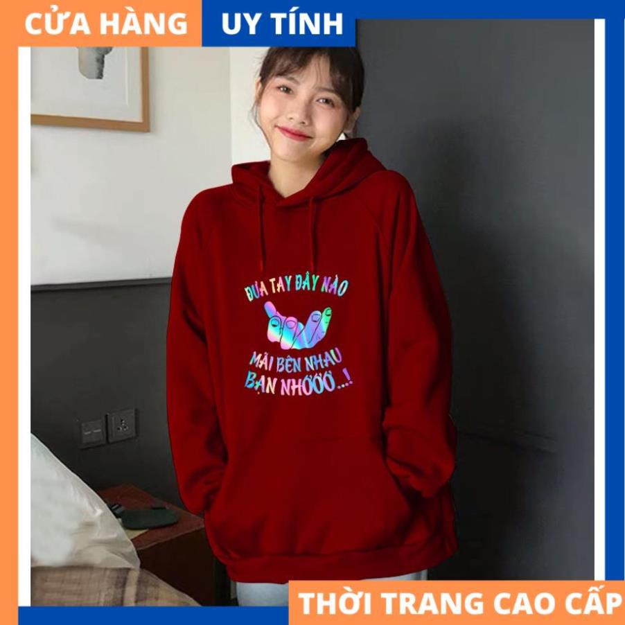 Áo Khoác Nỉ Hoodie Phản Quang SWE [HÀNG BAO ĐẸP]