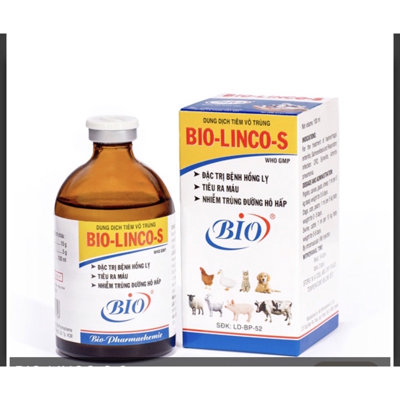 Bio-Linco S 100ml đặc t.rị hồng l.ỵ, t.iêu ra m.áu, nh.iễm tr.ùng đường h.ô h.ấp trong thú y