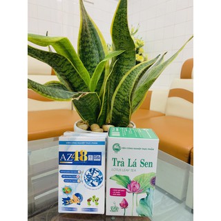 TRÀ LÁ SEN TÚI LỌC {100% BỘT SEN KHÔ}