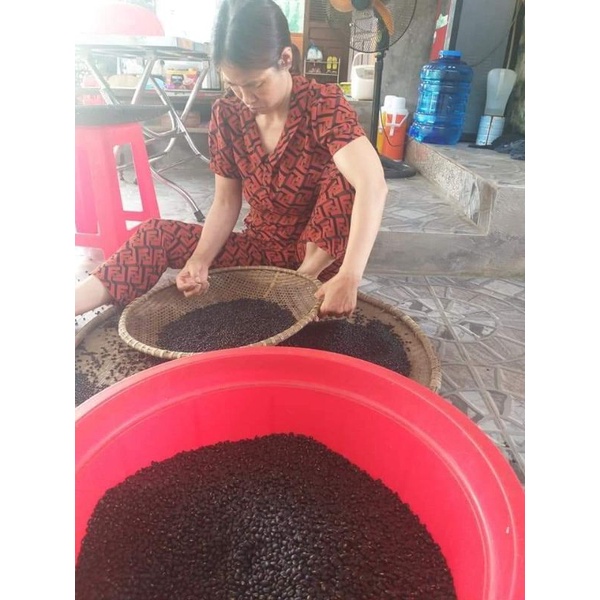 ĐẬU ĐEN XANH LÒNG NHÀ TRỒNG LÀNH SẠCH