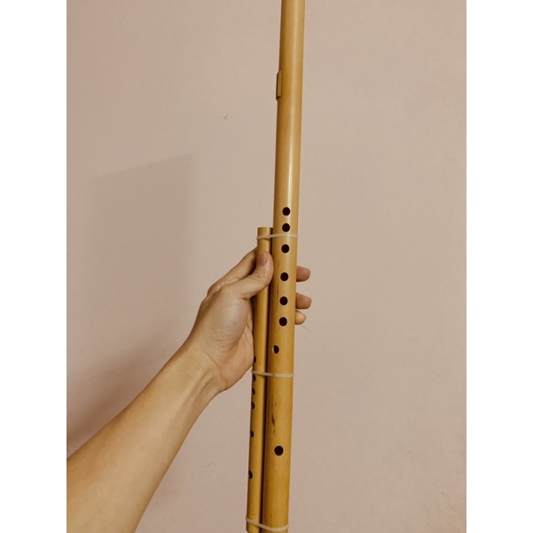 Sáo mèo kép việt nam