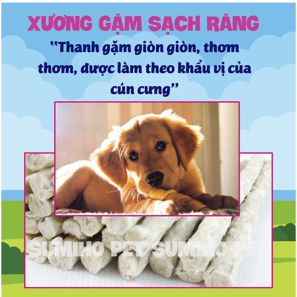 Xương gặm sạch răng từ sữa và rau củ Pet Snacks (túi 600gr) Bánh thưởng cho chó