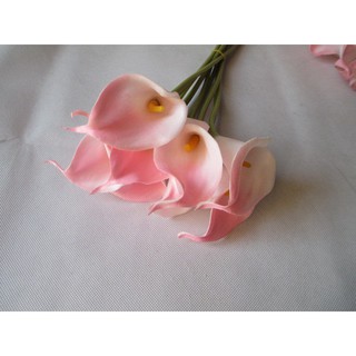 Hoa Giả - Hoa Rum Calla Lily Nam Phi