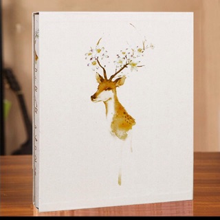 Album ảnh lưu trữ 200 ảnh