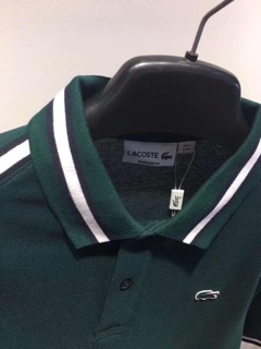 Áo polo 100% cotton cao cấp