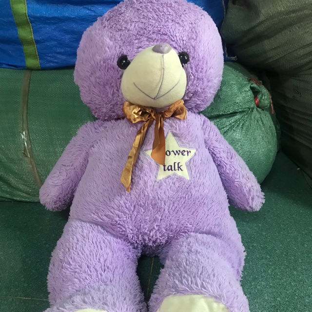 Gấu Teddy của Nguyễn Lan