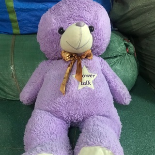Gấu Teddy của Nguyễn Lan