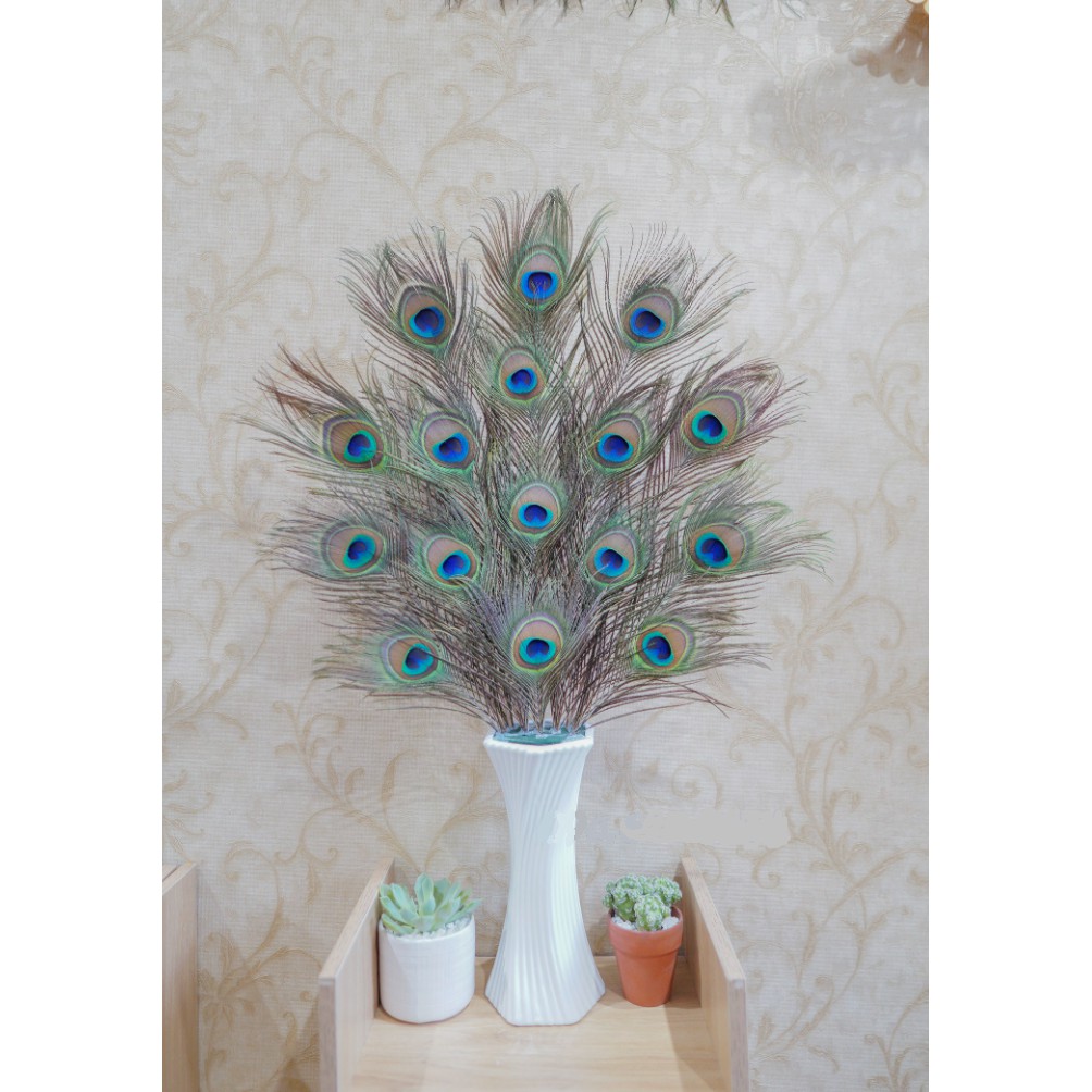 Combo 10 Lông công trang trí phong thủy tài lộc 28-35cm | BigBuy360 - bigbuy360.vn