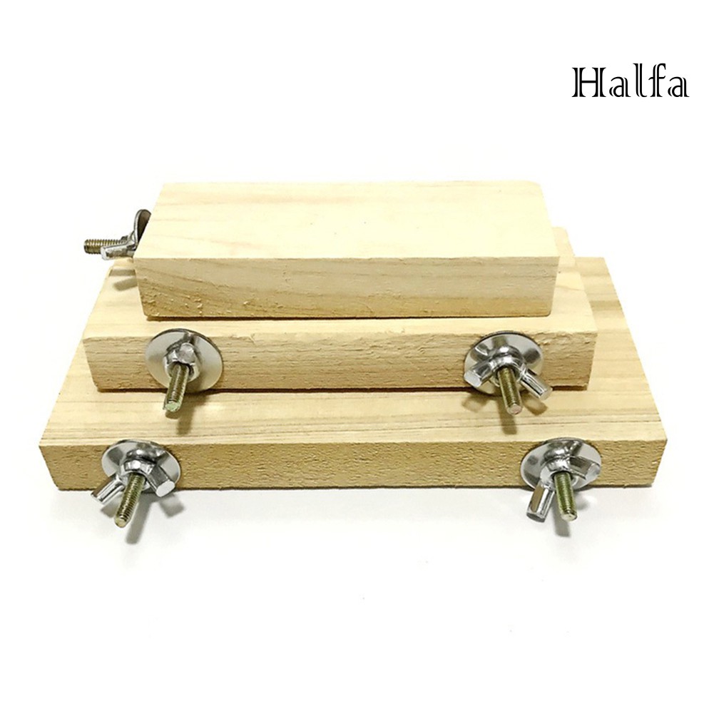 Bệ gỗ đứng cho chim vẹt gắn lồng độc đáo vui nhộn