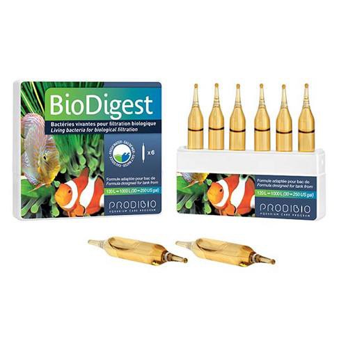 Prodibio BioDigest - Bổ sung vi sinh sống cho hồ cá nước mặn và nước ngọt