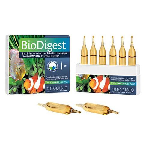 Prodibio BioDigest - Bổ sung vi sinh sống cho hồ cá nước mặn và nước ngọt (Đơn vị: ống)