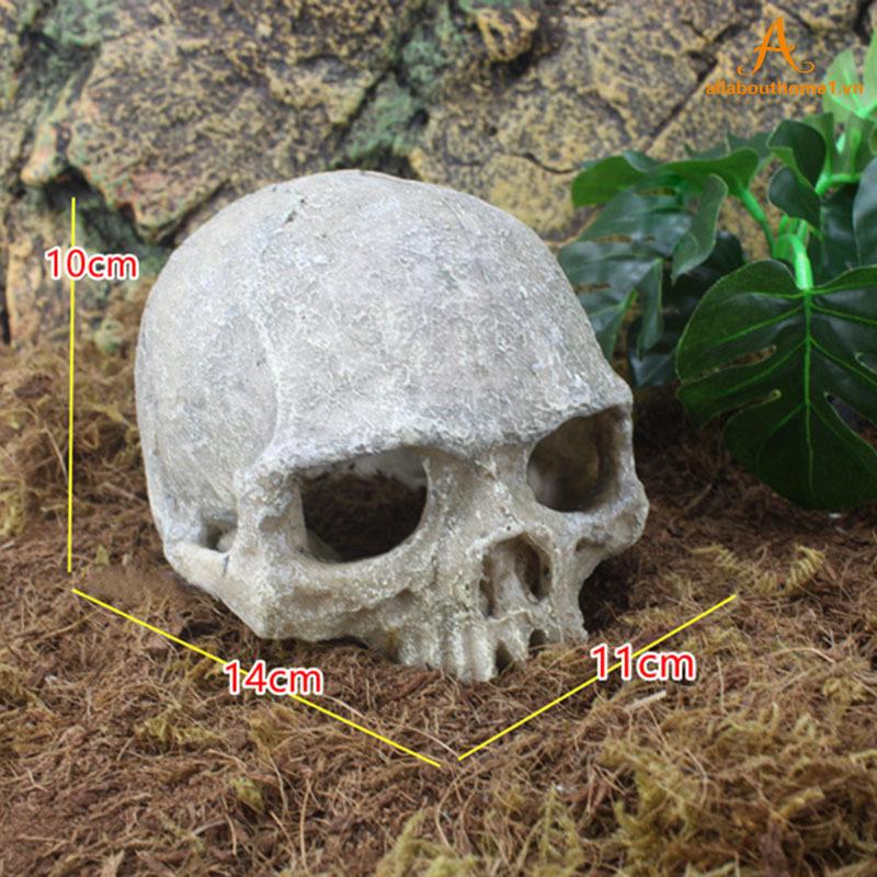Mô hình đầu lâu trang trí bể cá