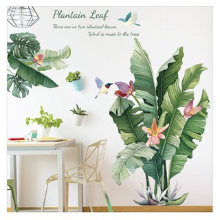 Decal Dán Tường Hình Lá Chuối MS1