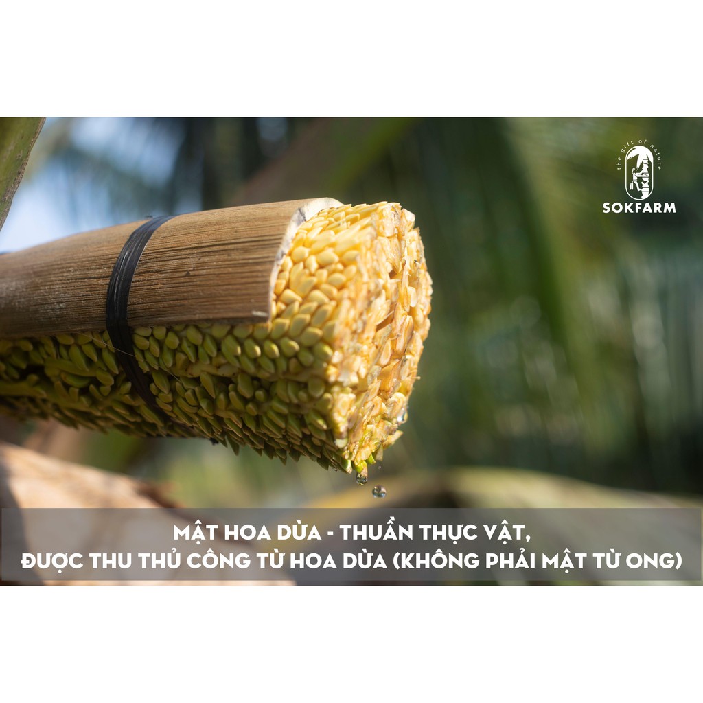 [MUA 2 TẶNG 1] Mật Hoa Dừa Sokfarm Nguyên Chất - Hủ 65g - Đặc Sản Trà Vinh | BigBuy360 - bigbuy360.vn