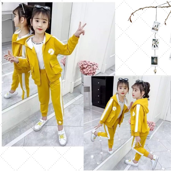 Đồ bộ THU ĐÔNG bé gái, set bộ cho bé Hàng Chuẩn Shop 0172