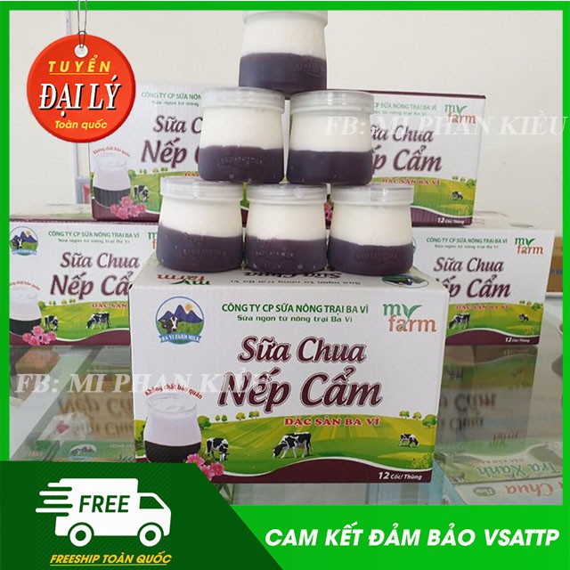 [MUA 1 TẶNG 1] CHỈ BÁN LÈ TẠI HÀ NỘI, TUYỂN SỈ SỮA CHUA BA VÌ MYFAM TRÊN TOÀN QUỐC