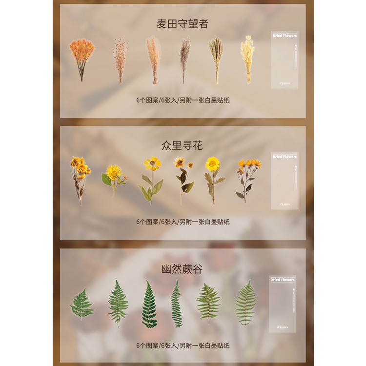 Set 6 Tấm Hình Dán Họa Tiết Hoa Lá Trang Trí Sổ Tay Nhật Ký DIY