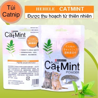 Cỏ Bạc Hà Mèo Catnip Hahale
