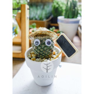 Chậu gốm trắng xương rồng đội mũ có xẻng và bảng tên - COMBO NÔNG DÂN