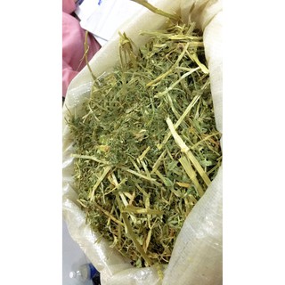 Cỏ khô dành cho thỏ bọ  mms