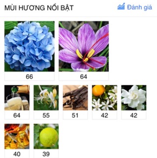 Nước hoa mini 4ml Marc Jacob Divine Decadence