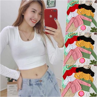 Áo thun gân croptop tay dài