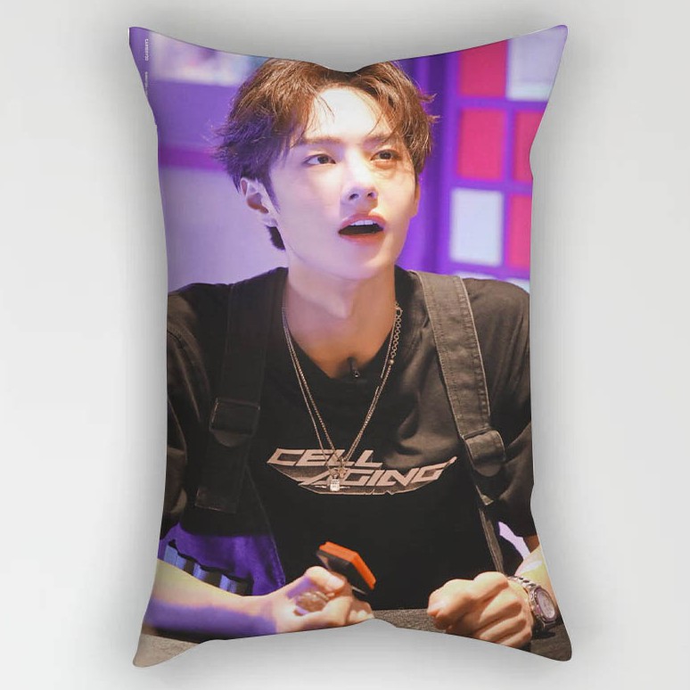 Áo gối sofa in hình WangYibo 50*30cm | BigBuy360 - bigbuy360.vn