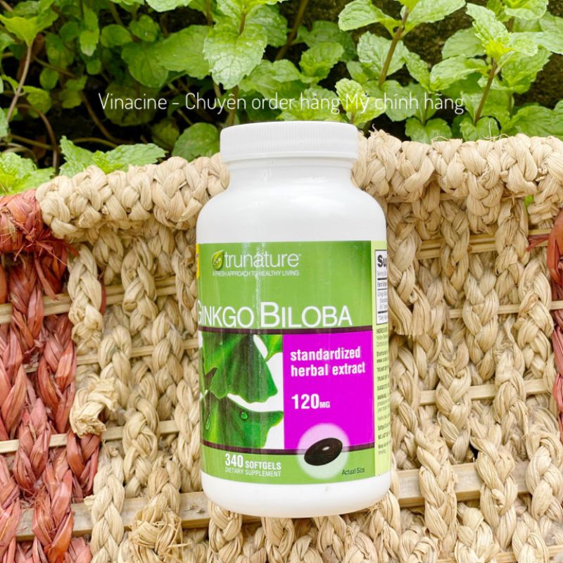 Viên uống bổ não Ginkgo Biloba 340 viên của Mỹ