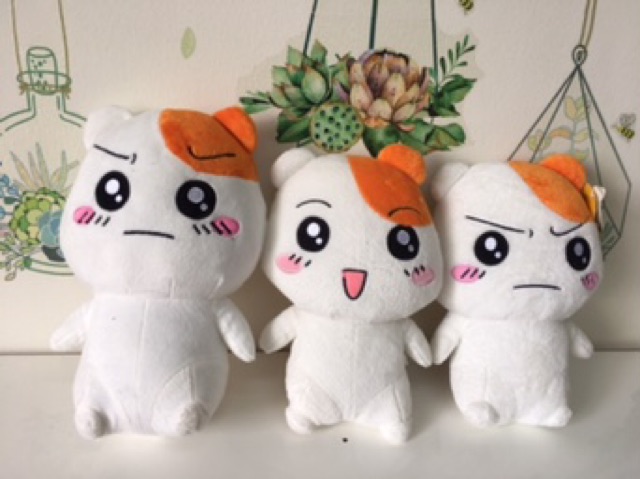 Gấu bông đồng giá 70k