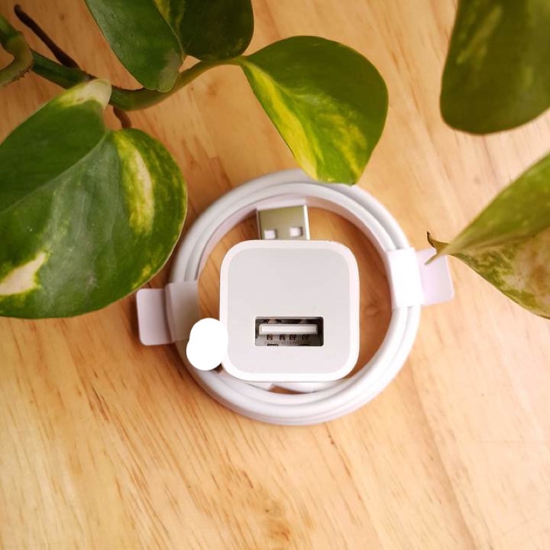 Bộ Sạc Thường 5W 5V=1A USB To Lightning Cho Điện Thoại Tai Nghe Zin Nhà Máy