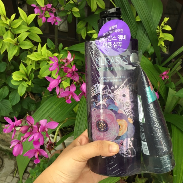 Dầu gội, dầu xả nước hoa hương Violet tím và hoa Diên vỹ. Tặng kèm 1 tuýp sữa rửa mặt Hàn quốc dành cho Nam