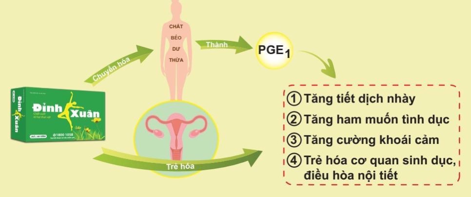 Viên uống ĐỈNH XUÂN - Hộp 20v | BigBuy360 - bigbuy360.vn