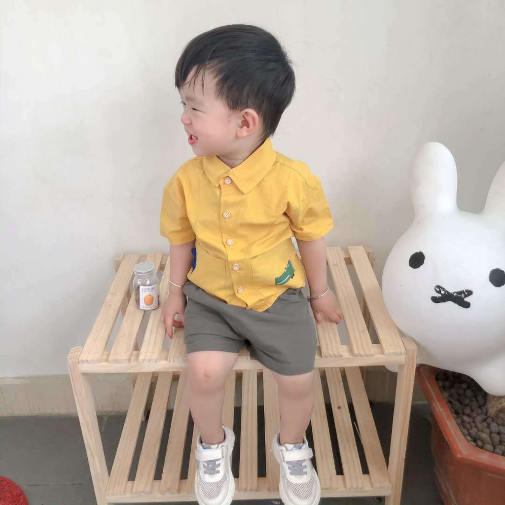 Áo Sơ Mi Cá Mập Cho Bé Trai Bé Gái Chất Đũi Hàn Quốc Từ 0-6 Tuổi Abee Store Size 8-25kg SM09