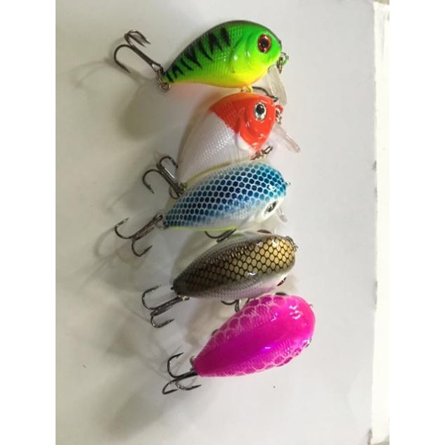 Mồi ruồi chuyên lure con lớn đồ câu FISHING_HD