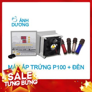 Máy ấp trứng mini Ánh Dương P100 - Phiên bản đảo tay, tự lắp thùng xốp - kèm đèn soi, hướng dẫn, gói úm
