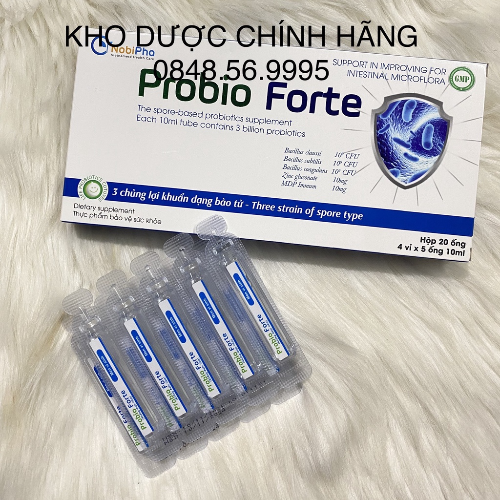 Men vi sinh Probio Forte ống uống 10ml - Bổ sung lợi khuẩn, cân bằng hệ vi sinh đường ruột, giảm rối loạn tiêu hóa