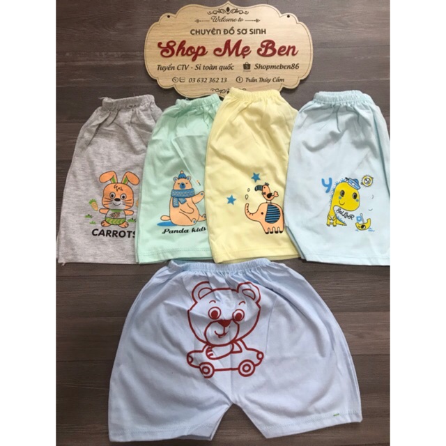 Quần đùi Mông thú Cater chất đẹp 100% cotton thấm hút mồi hôi