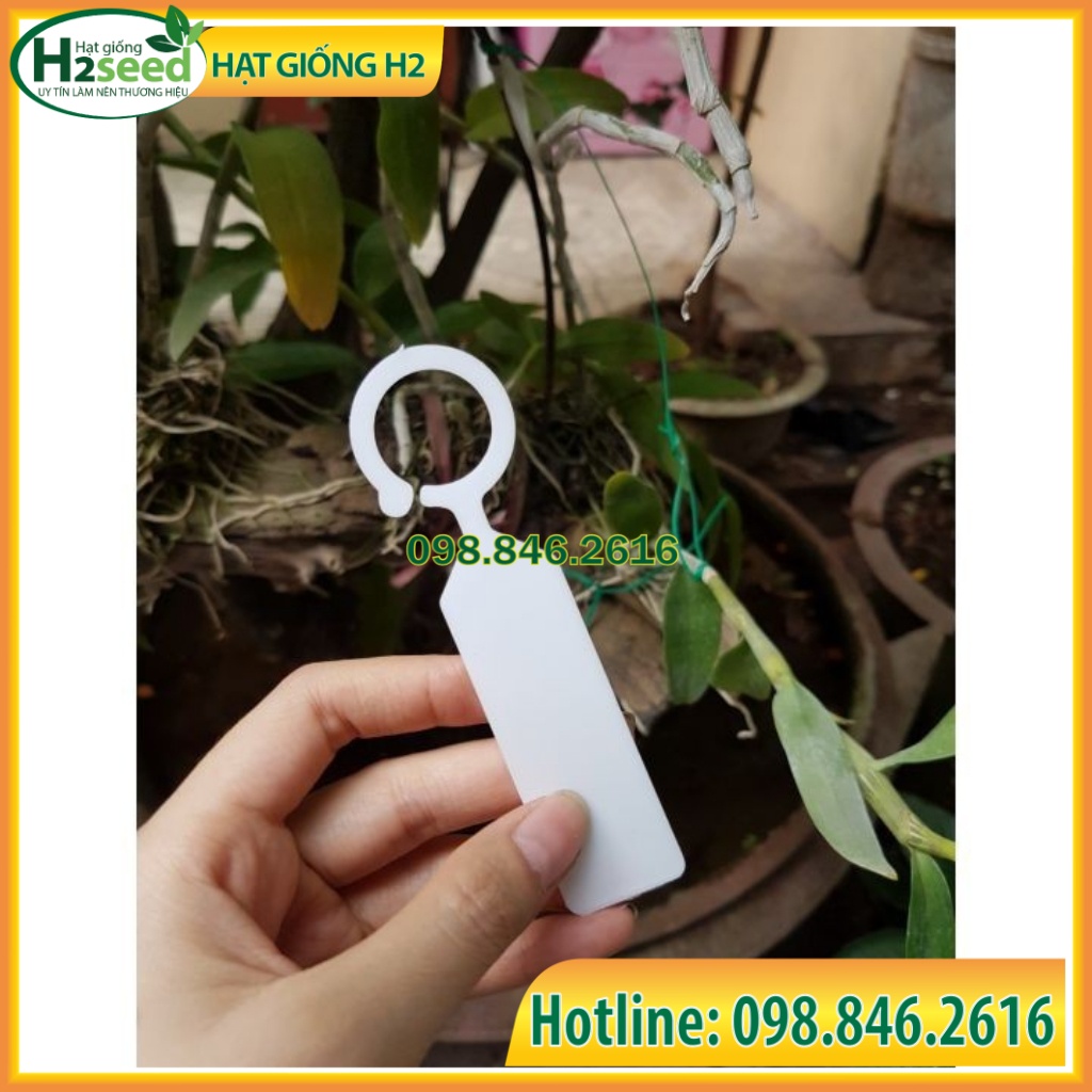 Bộ 10 Thẻ Nhựa Ghi Tên có Quai Móc Dùng Cho Hoa Lan, Cây Cảnh, name tag - Hạt giống H2 seeds