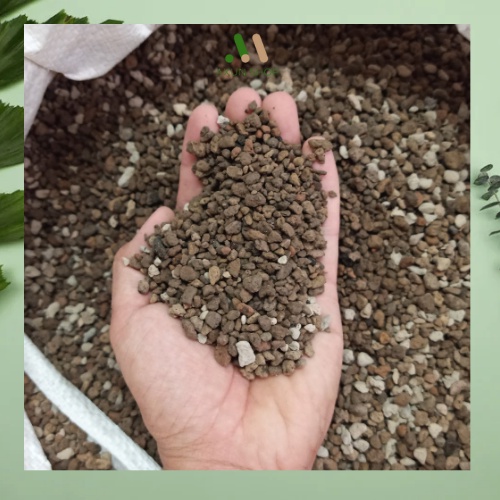 Đá bọt núi lửa pumice trồng sen đá xương rồng size 3 - 6mm túi 0,5kg 1kg tiện lợi