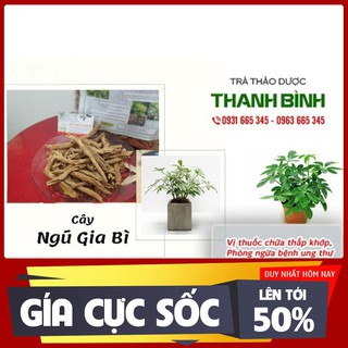 Ngũ Gia Bì khô (1kg) - Thảo Dược Thanh Bình - Cây Thuốc Nam Trị Bệnh