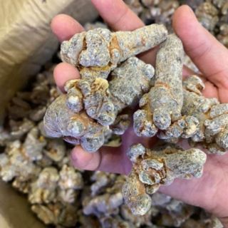 100gr Củ tam thất khô đặc sản Tây Bắc