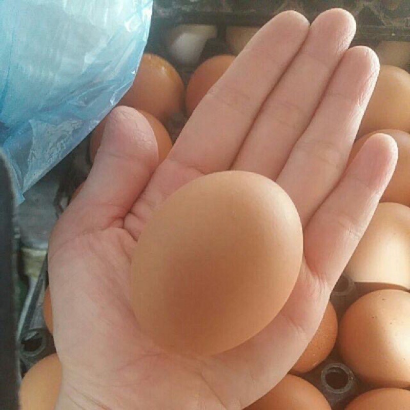 [Mã 267FMCGSALE giảm 8% đơn 500K] nowship 1h Trứng Hà Nội | BigBuy360 - bigbuy360.vn