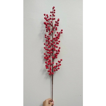 Đào đông 12 nhánh