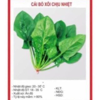 Hạt giống cải bó xôi 20gr ~2500 hạt