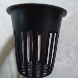 Rọ phi 65 trồng rau thủy canh tĩnh và hồi lưu 100 rọ