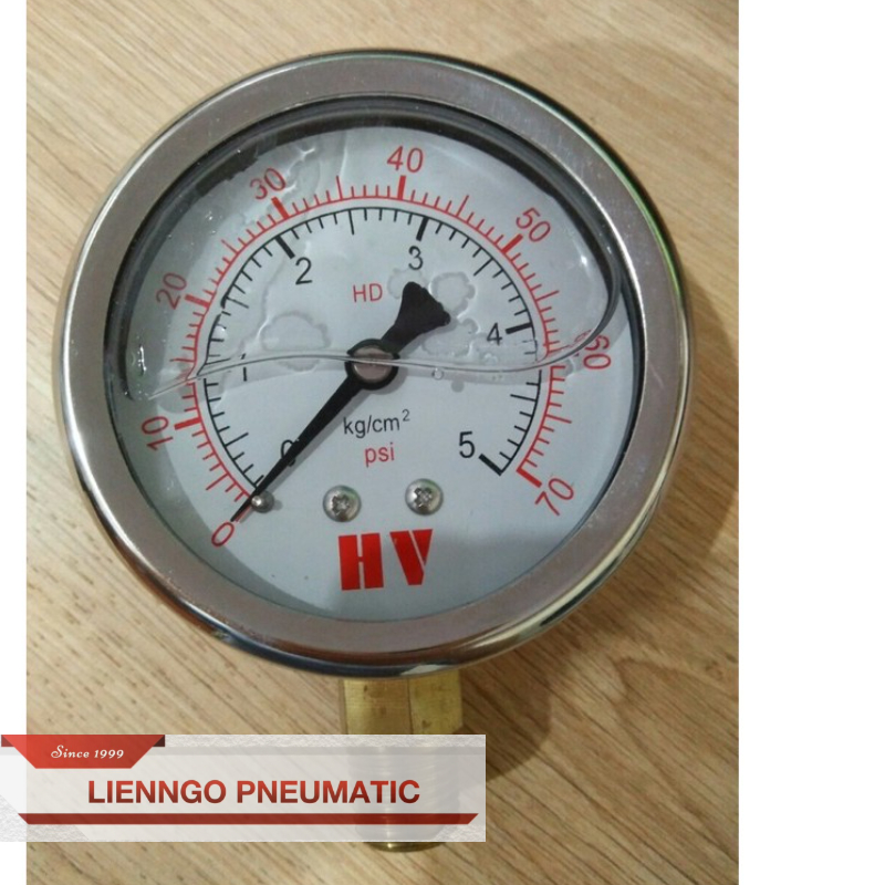 Đồng hồ inox đo áp suất mặt có dầu phi 100mm chân ren 17